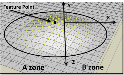 Fig. 8.  Two skin regions and FPs  Algorithm 1 : Raised Cosine Deformation Function. 