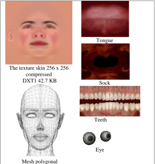 Fig. 13. Texture map, mesh polygonal, and the internal anatomic components of the  proposed 3D model 