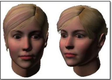 Fig. 14. 3D face model created. 