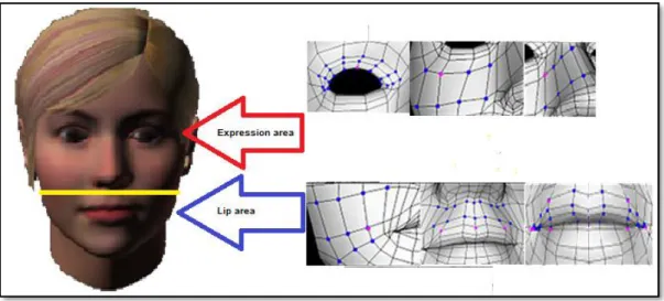 Fig. 15. Subdivision of proposed 3D model in “two specific areas” 