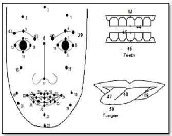 Fig. 16. The total of 50 FPs of the proposed 3D face model 