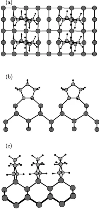 FIG. 3. Optimized geometry for the transmodel of cyclopentene monolayer adsorption on Siview,-type dimer-cleaved�001�: �a� top �b� and �c� side views