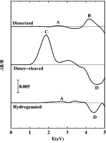 FIG. 7. RAS spectra �dimerized models of the(R[1¯10]�R[110])/�R�� calculated for the trans and cis types