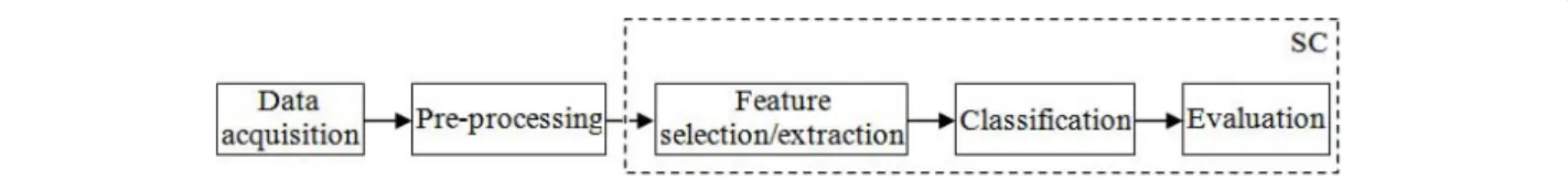 Figure 1 Steps covered by SC in a pattern recognition system. Most pattern recognition systems can be partitioned into these steps: data acquisition, which in our case obtains either the SV, MV or high resolution MRS data; pre-processing, which converts th