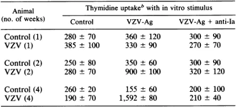 TABLE 1. Proliferative responses of guinea piglymphocytes to VZVa
