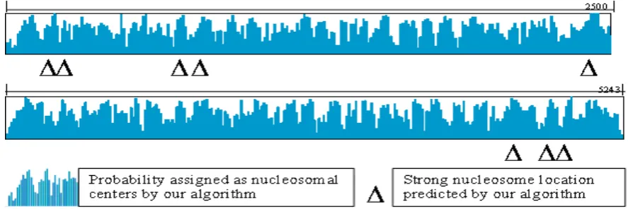 Figure 4. Nucleosome positions in the SV40 chromatin detected using our algorithm and comparison of the results with strong locations reported in literature