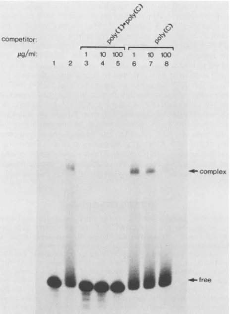 FIG. 6.presentcellMethods.polymerasephyarepolyclonalautoradiography UV-induced cross-linking of TAR RNA to P68 kinase in a cell extract