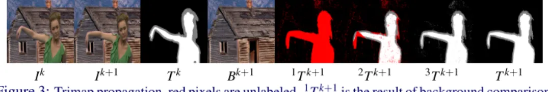Figure 3: Trimap propagation, red pixels are unlabeled. 1 T k+1 is the result of background comparison,