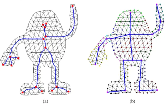 Figure 3.5 Result of skeletonization and decomposition. (a) Curve skeleton, (b) Skeleton and  decomposition 