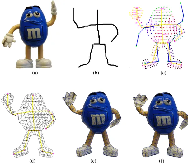 Figure 3.9 Deformation process. (a) Original character, (b) Sketched skeleton, (c) Deformed  character displayed as a variable-length needle model