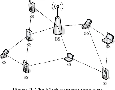 Figure 2. The Mesh network topology 