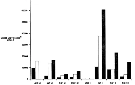 FIG. 8.infectedoruncappedproductionthe 4 Translation of in vitro-synthesized hybrid RNA molecules in HeLa cells