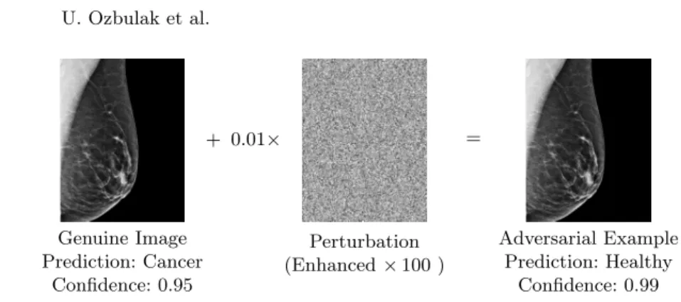 Fig. 1. A genuine image, initially classified as cancer with 0.95 confidence by a deep learning model, is perturbed to become an adversarial example