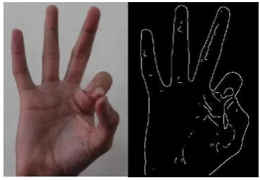 Figure 1: Finger Detection Flowchart 