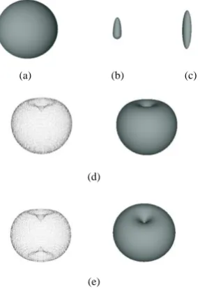 Fig. 5. (a). The shape of das =0.5 with two symmetric concave polar areas because the object in (c) is used where the left one’s surface is transparent