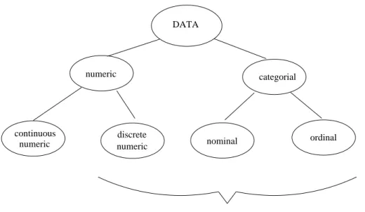 Figure 4.2: Classification of data types.