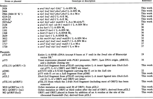 FIG.1.ORF1 Expression of coding information from L-A plus strands (modified from reference 19)