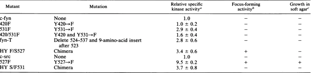 TABLE 1. Biochemical and biological properties of pp59C"-1'" mutants