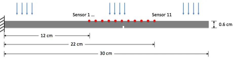 Figure 3.5 Simulation layout for damage detection and localization using auto-correlation