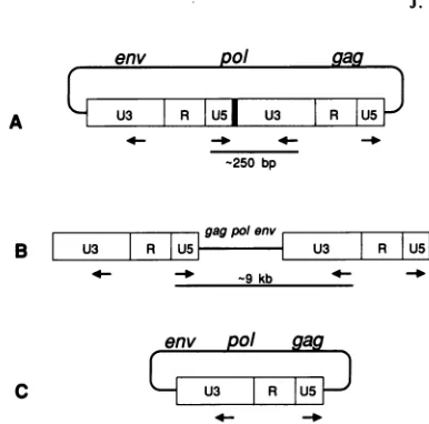 FIG. deletion