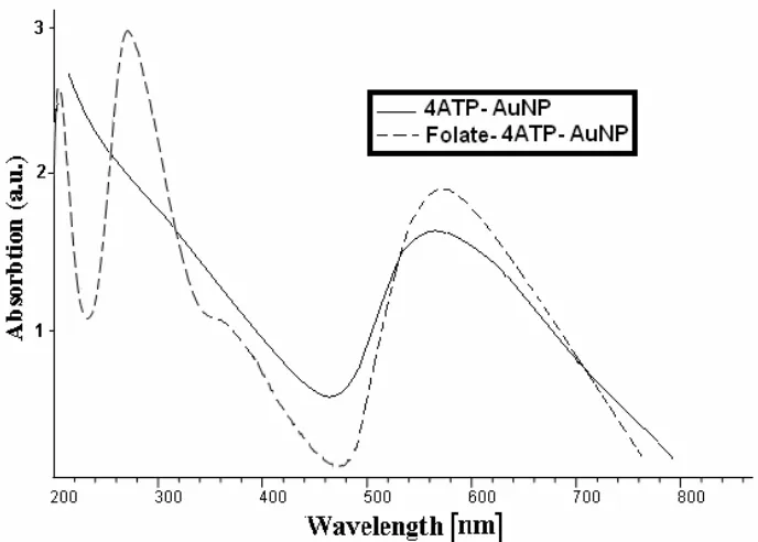 Figure 2: UV-Visible absorption spectra versus wavelength of 4ATP-AuNP and Folate-4ATP-AuNP.Figure 2
