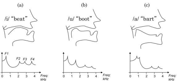 Figure 3.2: The relation between the shape of the oral and pharyngeal cavity and the frequency response of the resonance showing a) sound of /i/ in “beat”, b) sound /u/ in “boot” and c) sound /a/ in “bart”.