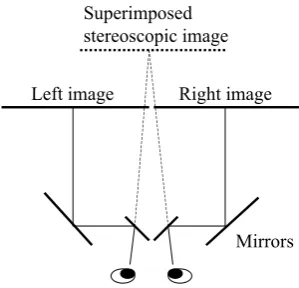 Fig. 2 Stereoscope using polarized glasses (parallel viewing)  