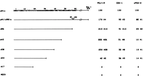 FIG. 4.ofexperiment,3 posttransfection markers DNA replication activity ofJCV origin deletion mutants in POJ-19, COS-1, and cPOS-2 cells