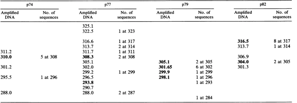 TABLE 1. Comparison of size of amplified DNA with overall lengths of sequences obtained by limiting dilutiona