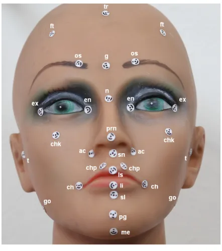 Fig. 2: Facial landmarks 