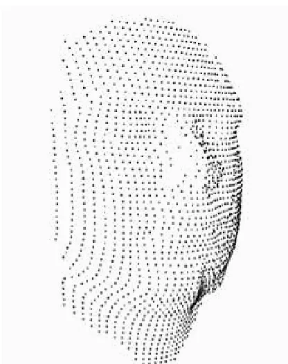 Fig. 3: Example of a dense point cloud 