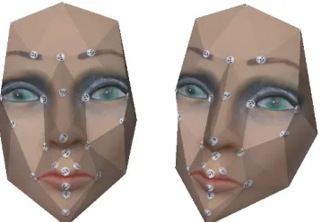 Fig. 7: Landmark photogrammetric acquisition for the left 
