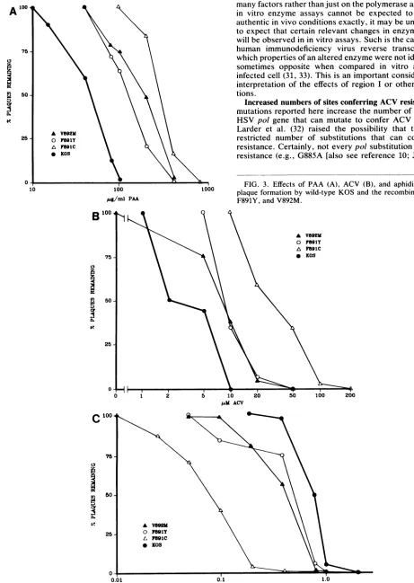 FIG. 3.plaque Effects of PAA (A), ACV (B), and aphidicolin (C) on formation by wild-type KOS and the recombinants F891C,