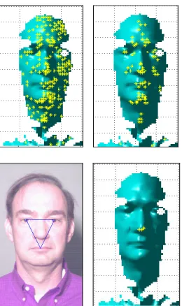 Fig 6: Nose tip obtained using densest amount of nose tip  candidate neighbours method