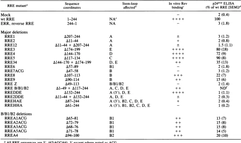 TABLE 1. In vitro and in vivo activity of RRE deletions