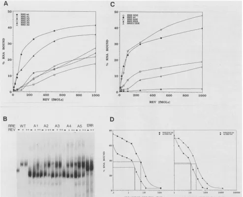 FIG. 3.0.5thebindingpanel.mutantthe Rev binding of the branched stem-loop deletions and the 3'-truncated RRE RNAs