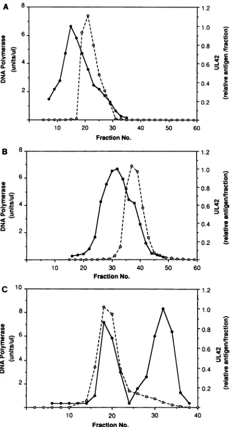 TABLE 1. DNA polymerase purification
