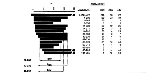 TABLE 1. Identification of the minimal continuous RRE for Rev, Rex, and Tev function (arrows) by a collectionof 5' and 3' deletion mutantsa