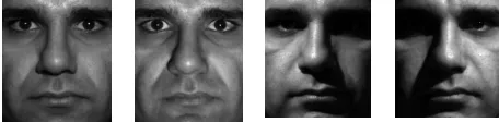 Figure 4 Sample face images containing variations in illumination from YaleB 