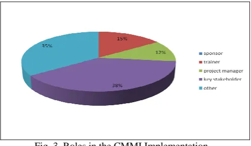 Fig. 3. Roles in the CMMI Implementation 