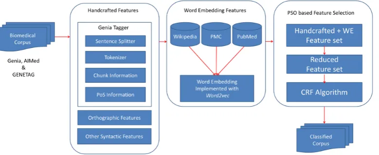 Figure 1: Proposed model architecture for biomedical entity extraction