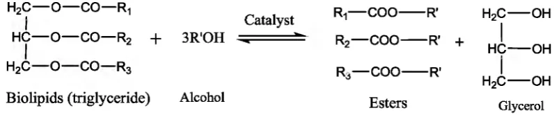 Figure 1.1: Transesterification of triglyceride with alcohol (Ejikeme e? 2011)