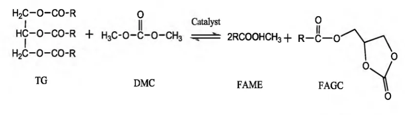 Figure 1.2: Transesterification of triglyceride with DMC (Fabbri e? 2007)