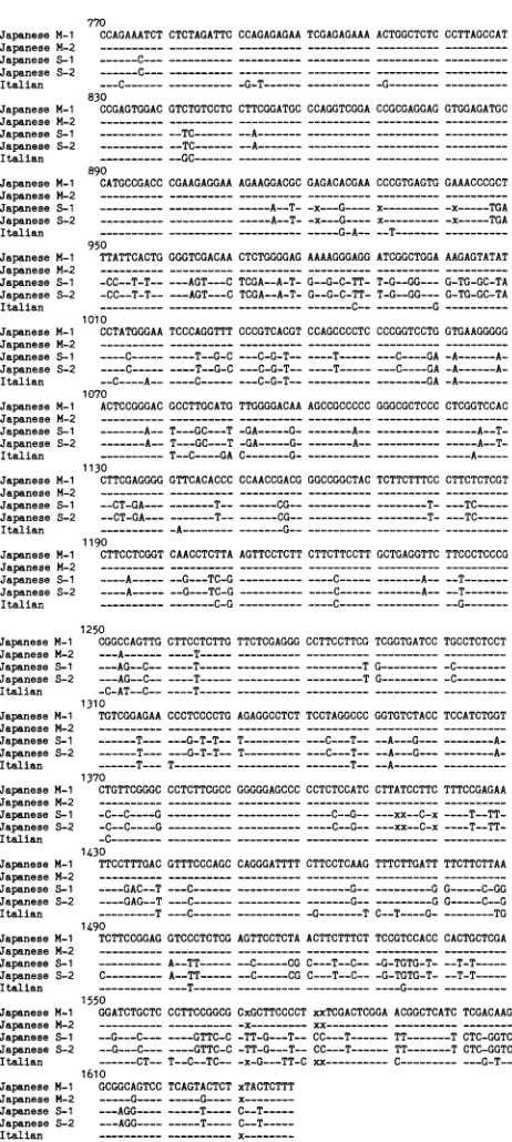 TABLE 3. Comparison of nucleic acid sequence identity in theregion between positions 770 and 1637