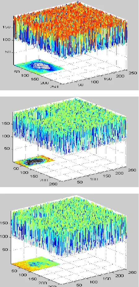 Fig 7: skin image boundaries components edge segmentation 