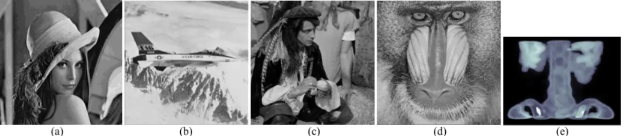 Table 1 shows the experimental results obtained by applying the fluctuation functions (3), (4), and (8) on various  images