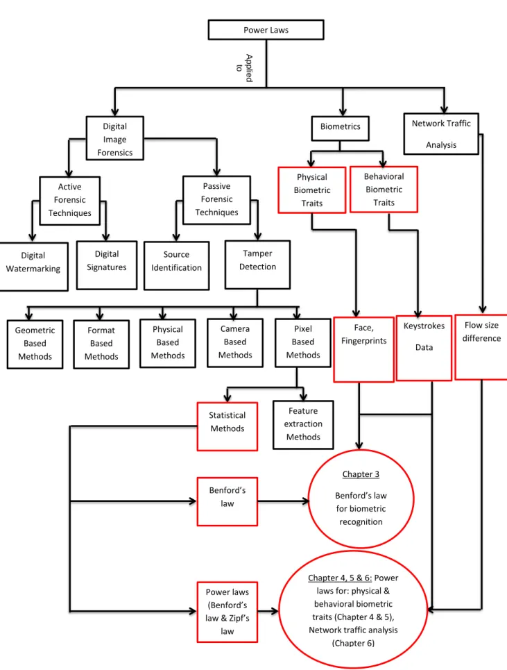 Figure 1.2: Hierarchy of Digital Image Forensics, Biometrics, Network Traffic Analysis with a highlight on the contribution of this thesis