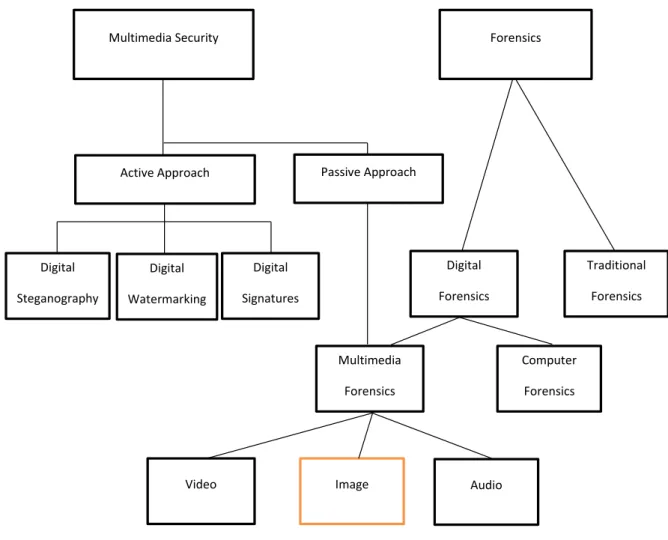 Figure 2.1: Multimedia Security and Forensics