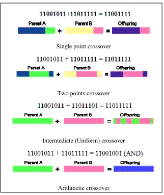Figure 2.6: Mutation process (Abuiziah and Shakarneh, 2013). 