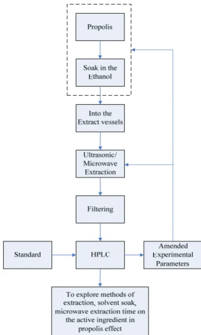 Fig. 4 Process of Experiment  